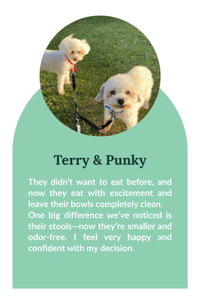Terry