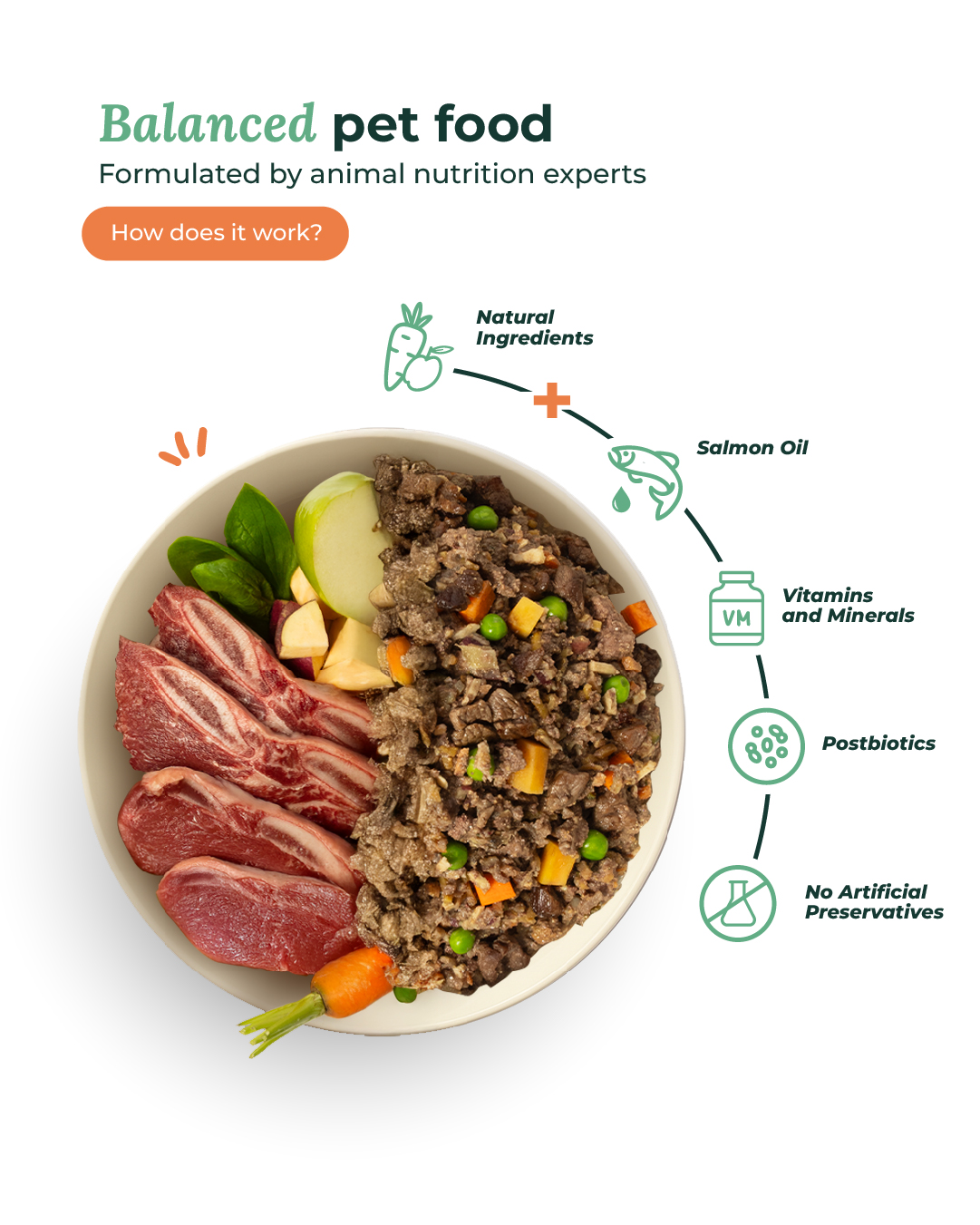 comida cocinada para perros