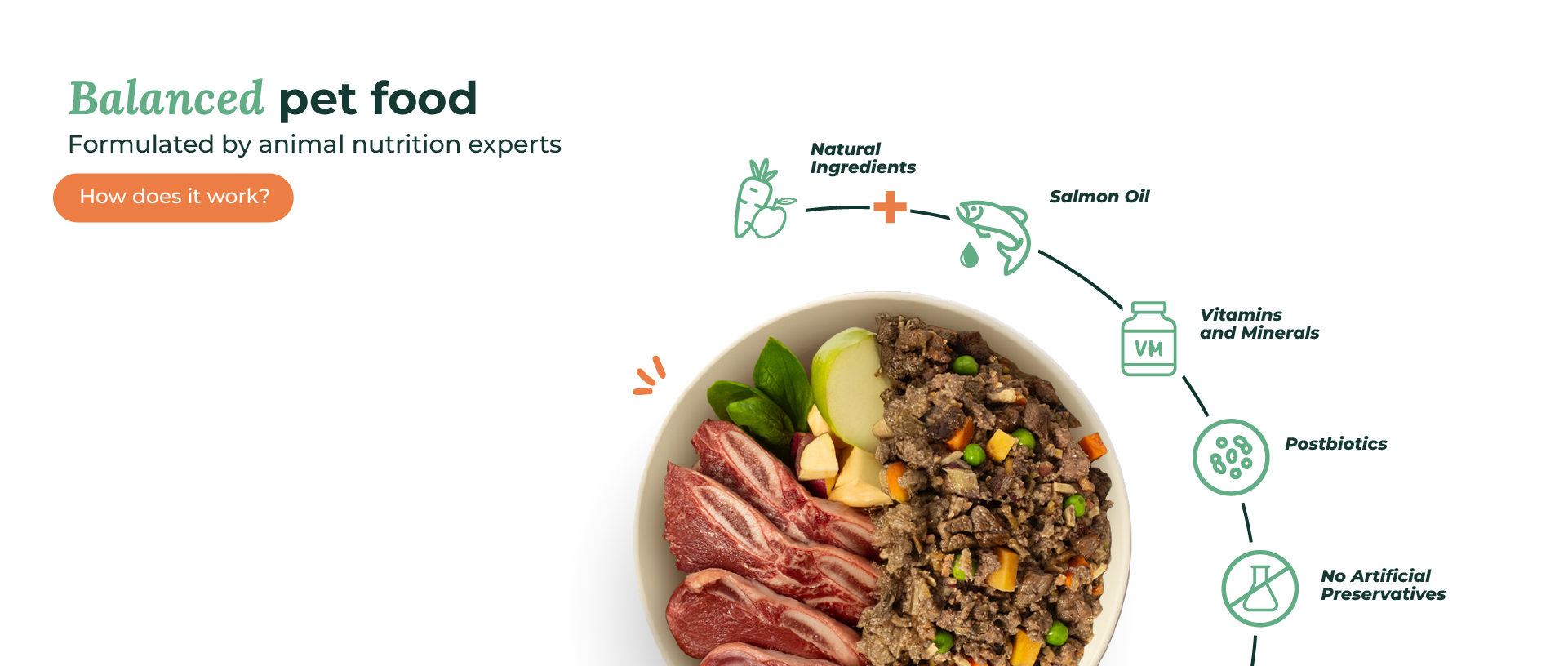 comida preparada con ingredientes frescos para perros