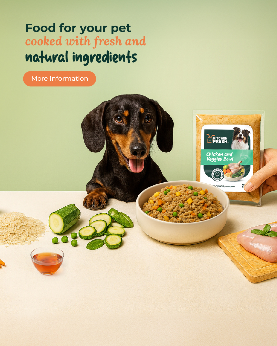 comida hecha con ingredientes frescos y naturales para perros costa rica
